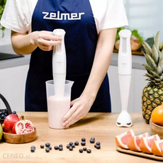 Blender Zelmer ZHB4560S symbio Pulsar